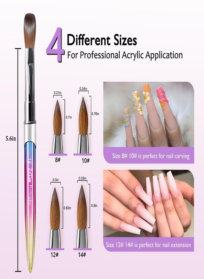 ZoCCee Acrylic Nail Brush - 100% Kolinsky Sable Hair Brush for Acrylic Application - Professional Salon-Grade Tools with Box for Nail Art, Extensions & 3D Carving (Gradient, #8) - Image 5